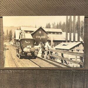 Vintage Sepia-Toned Photograph Postcard